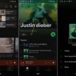 bloquear artista en Spotify